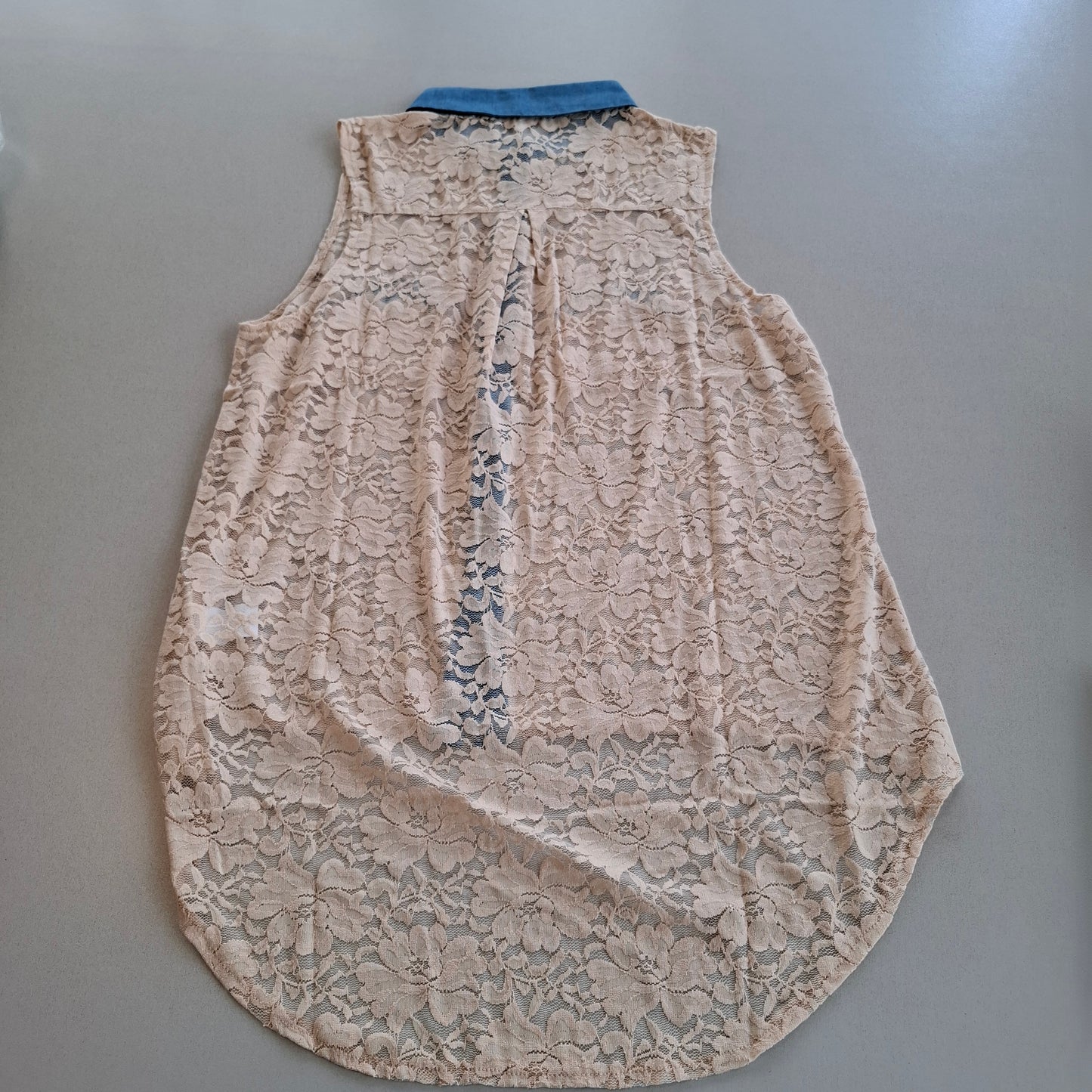 Lustre Sheer Lace Sleeveless Top