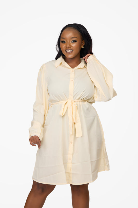 boohoo Plus Shirt Dress
