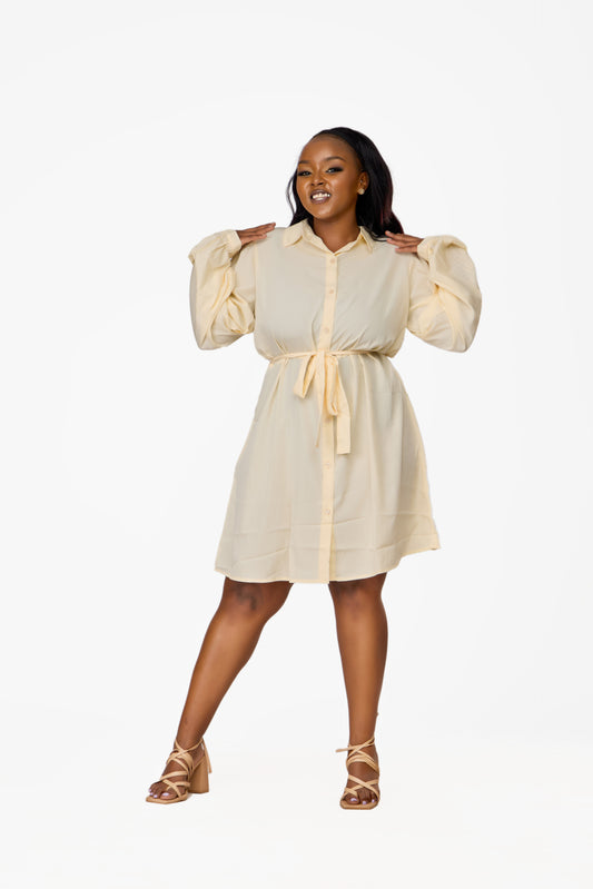 boohoo Plus Shirt Dress